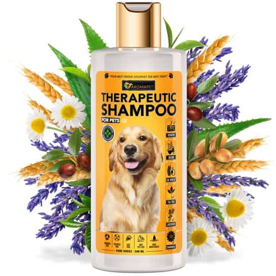 dog shampoo surrounded by its natural ingredients lovingly captured in amazon photography